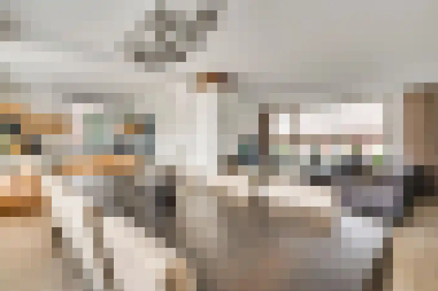 Vlut 18 Ospel thumbnail 4