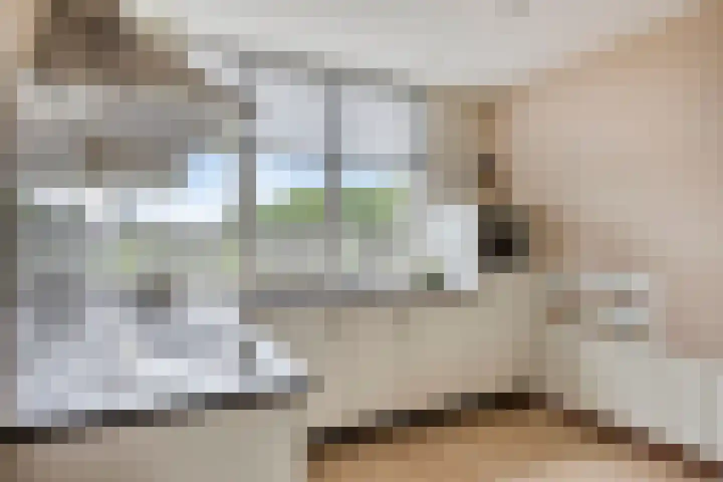 Vlut 21 Ospel thumbnail 25