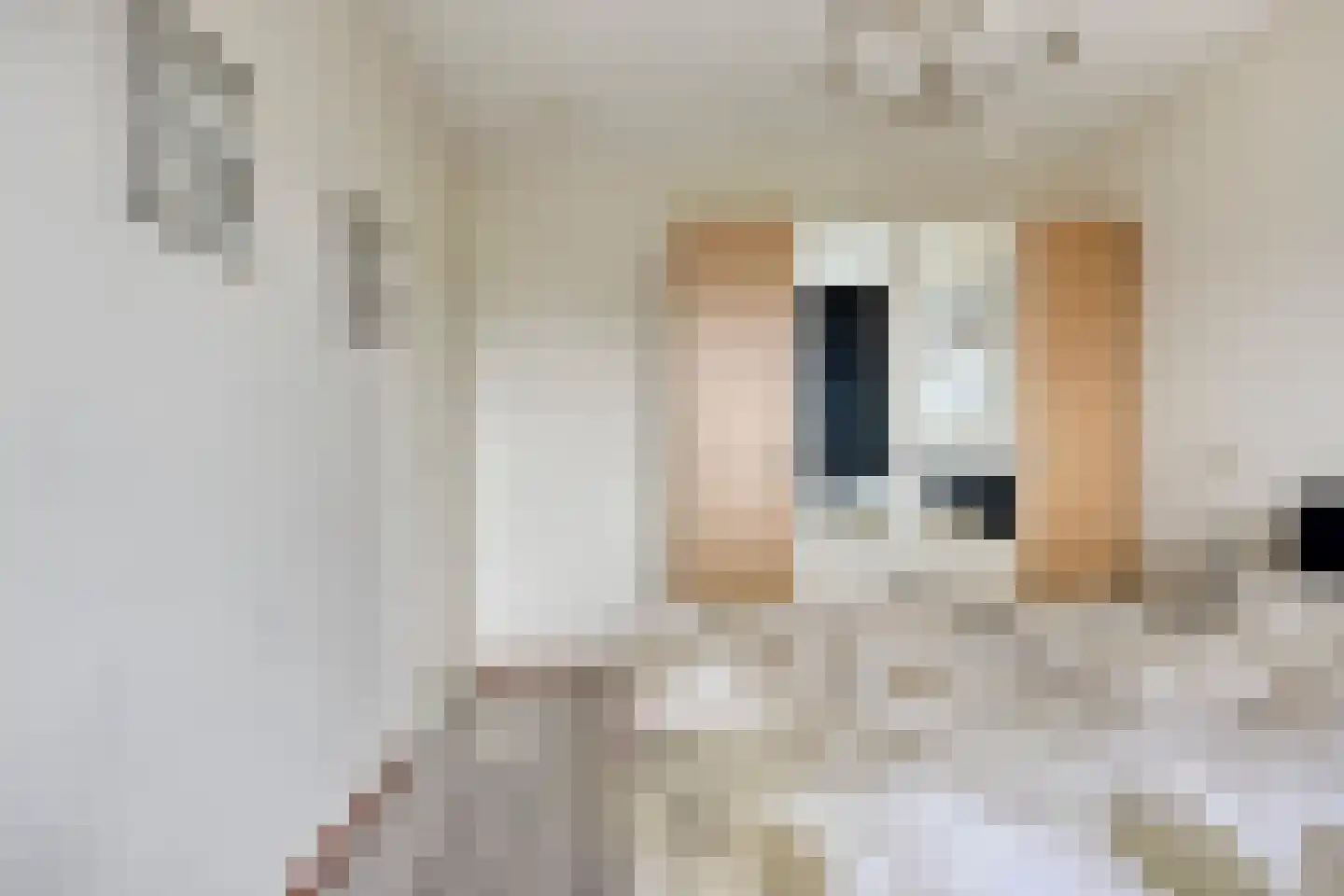 Vlut 21 Ospel thumbnail 32