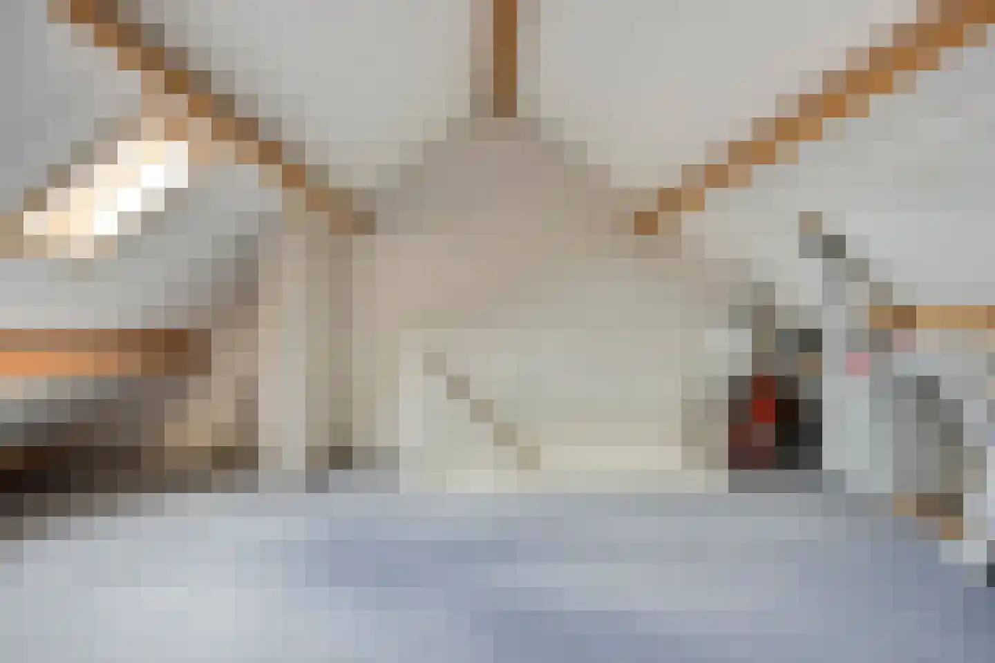 Vlut 21 Ospel thumbnail 49