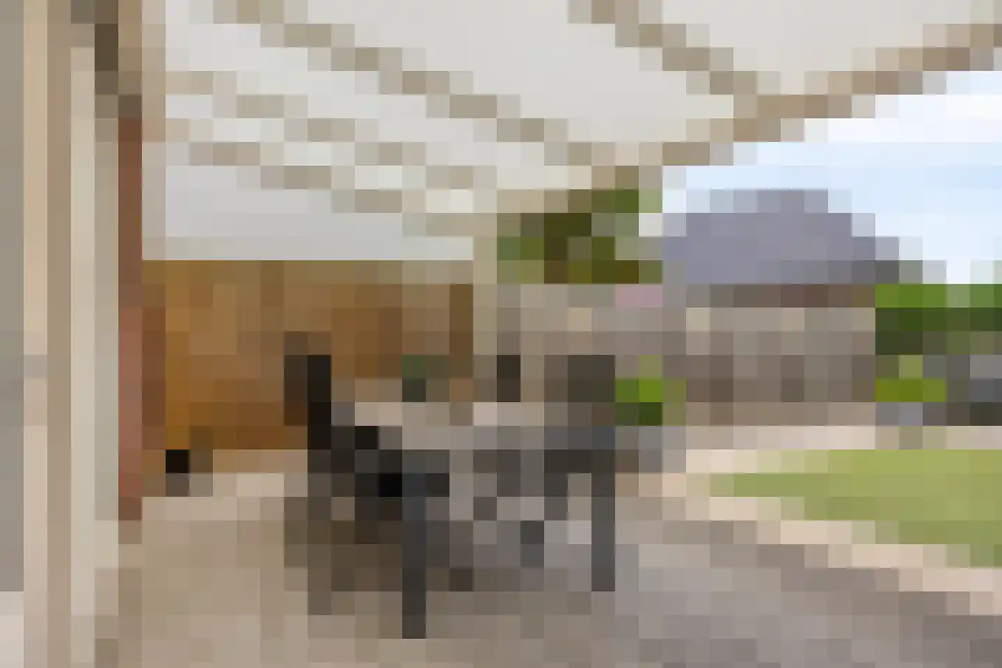 Vlut 21 Ospel thumbnail 51