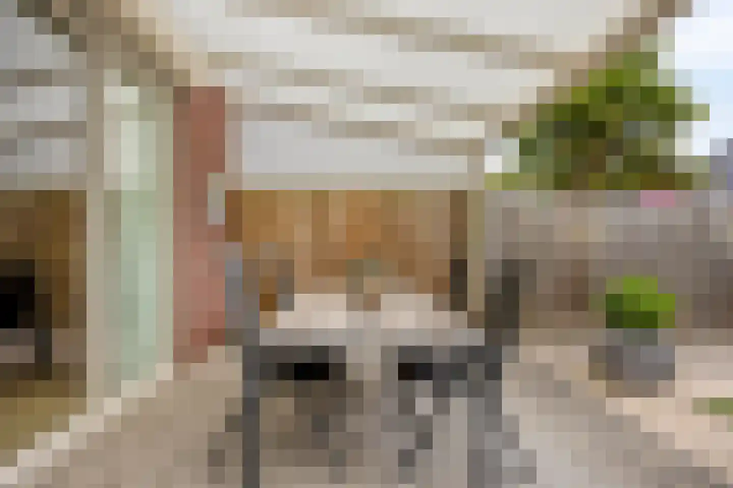 Vlut 21 Ospel thumbnail 52