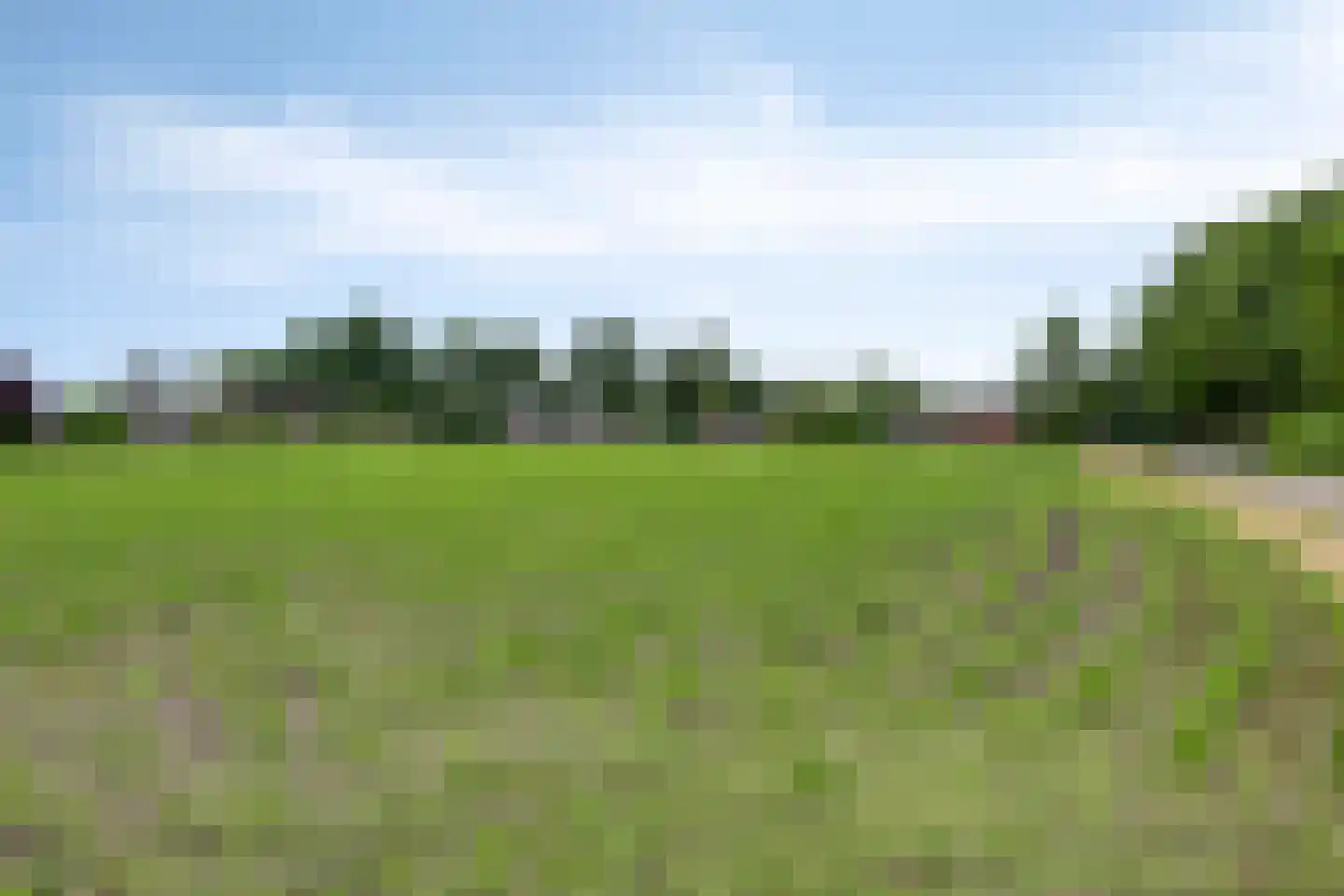 Vlut 21 Ospel thumbnail 67