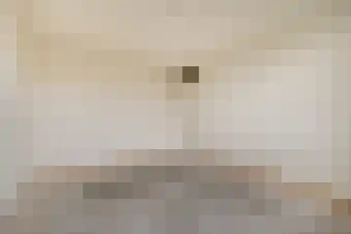 Vluttersven 13 Eindhoven thumbnail 16