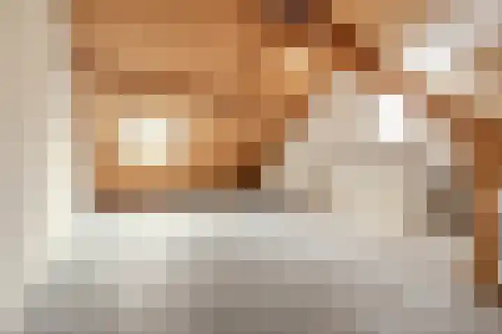 Vluttersven 13 Eindhoven thumbnail 24