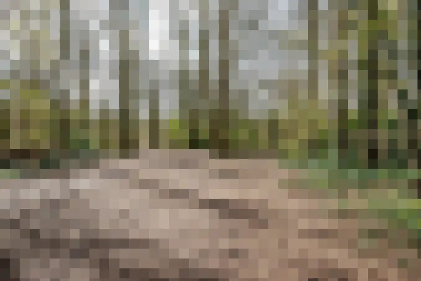 Vluttersven 13 Eindhoven thumbnail 29