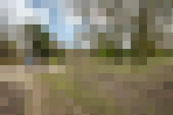 Vluttersven 13 Eindhoven thumbnail 30