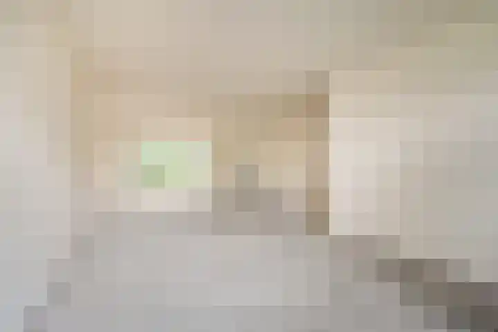 Vluttersven 13 Eindhoven thumbnail 6