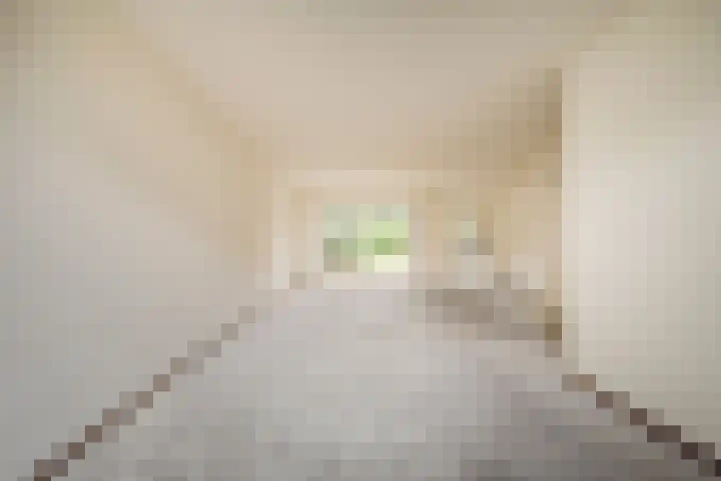 Vluttersven 13 Eindhoven thumbnail 7
