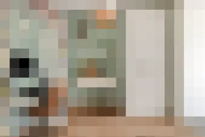 Vlutterven 25 Veldhoven thumbnail 11