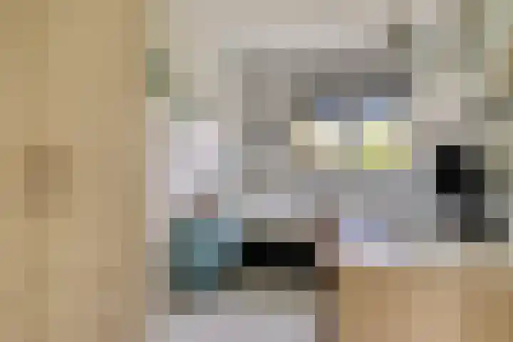 Vlutterven 25 Veldhoven thumbnail 23
