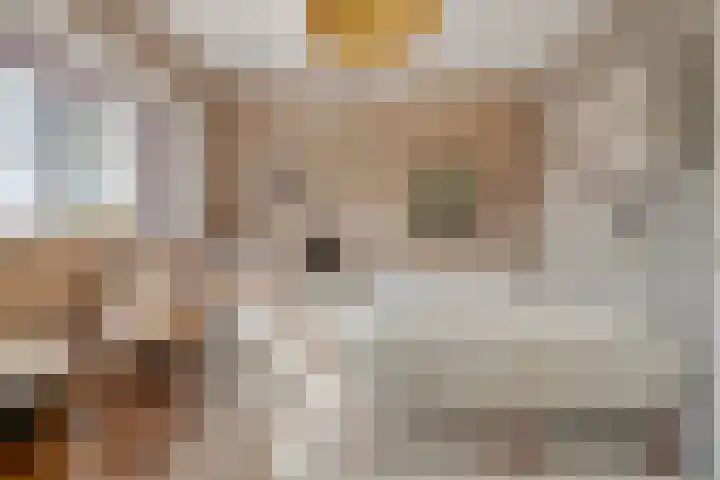 Vlutterven 25 Veldhoven thumbnail 26