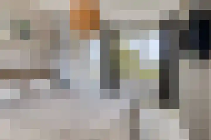 Vlutterven 25 Veldhoven thumbnail 30