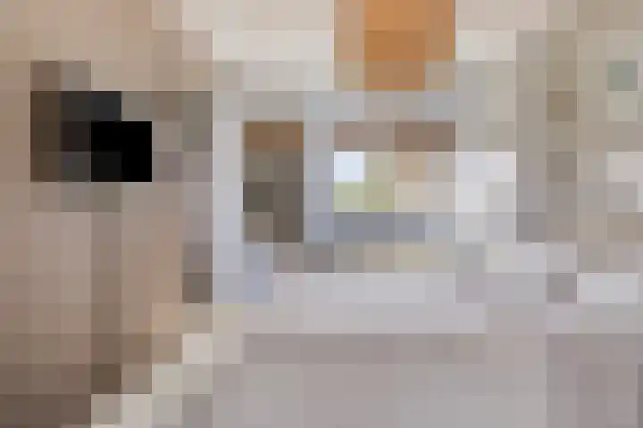 Vlutterven 25 Veldhoven thumbnail 31