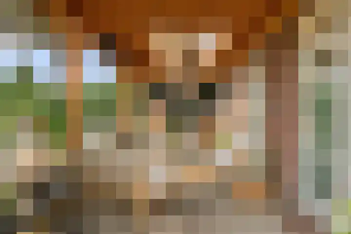 Vlutterven 25 Veldhoven thumbnail 35