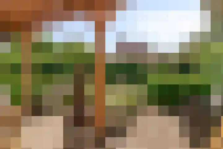 Vlutterven 25 Veldhoven thumbnail 37