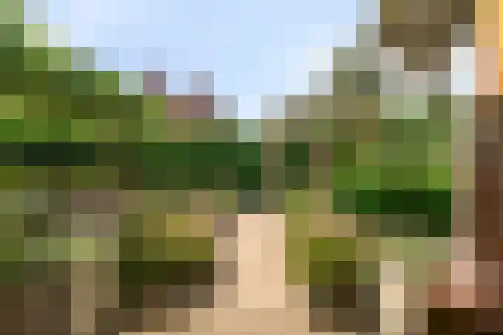 Vlutterven 25 Veldhoven thumbnail 38