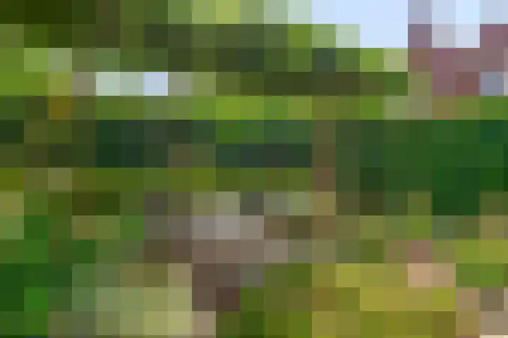 Vlutterven 25 Veldhoven thumbnail 39