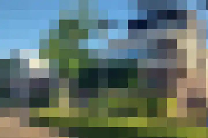 Vlutterven 25 Veldhoven thumbnail 45