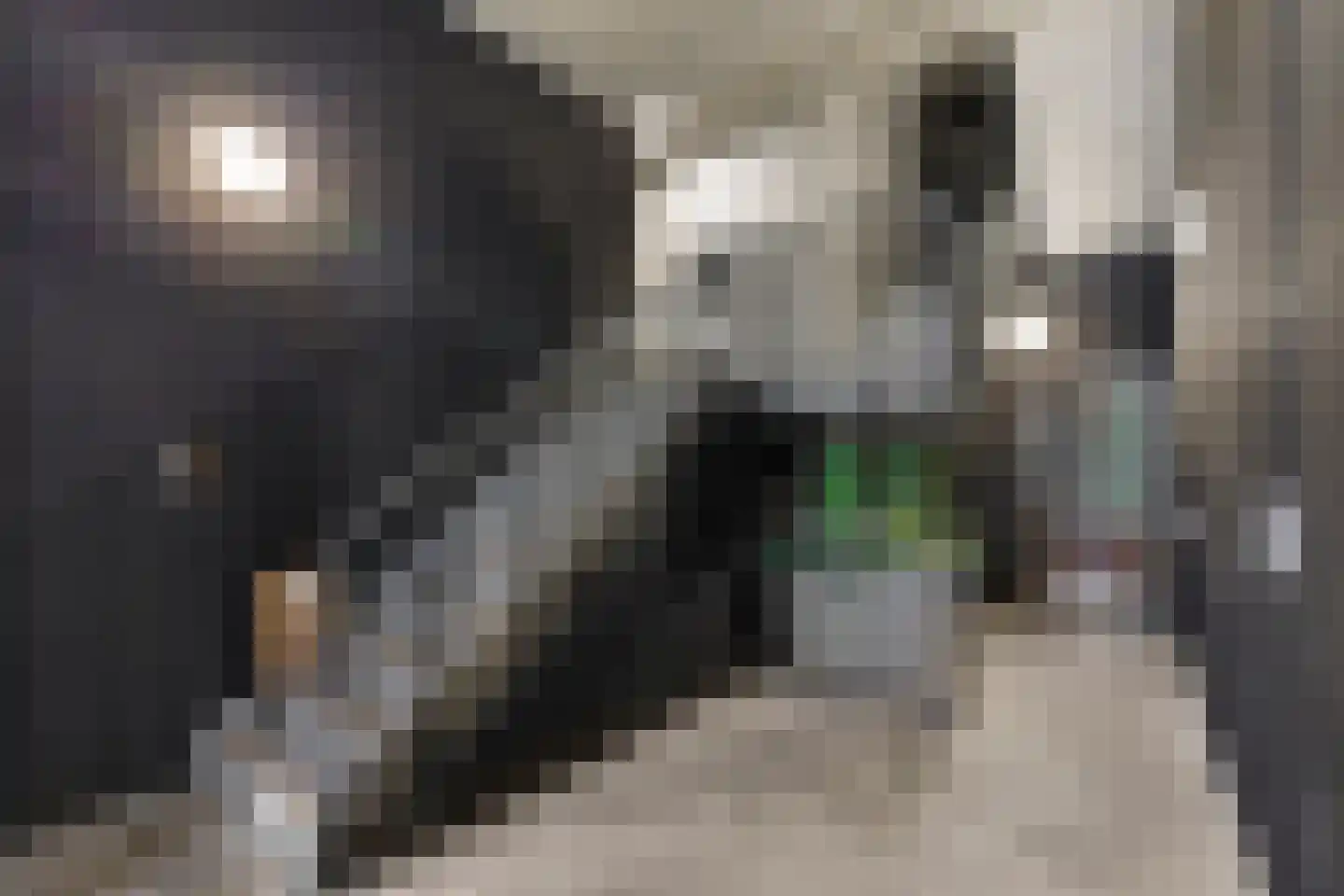 VOC-kade 116 Amsterdam thumbnail 21