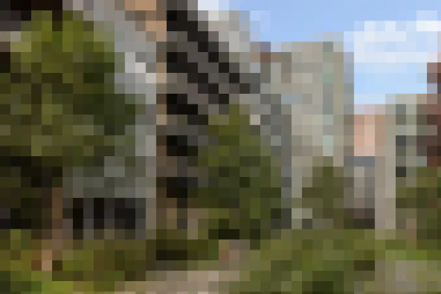 VOC-kade 116 Amsterdam thumbnail 34