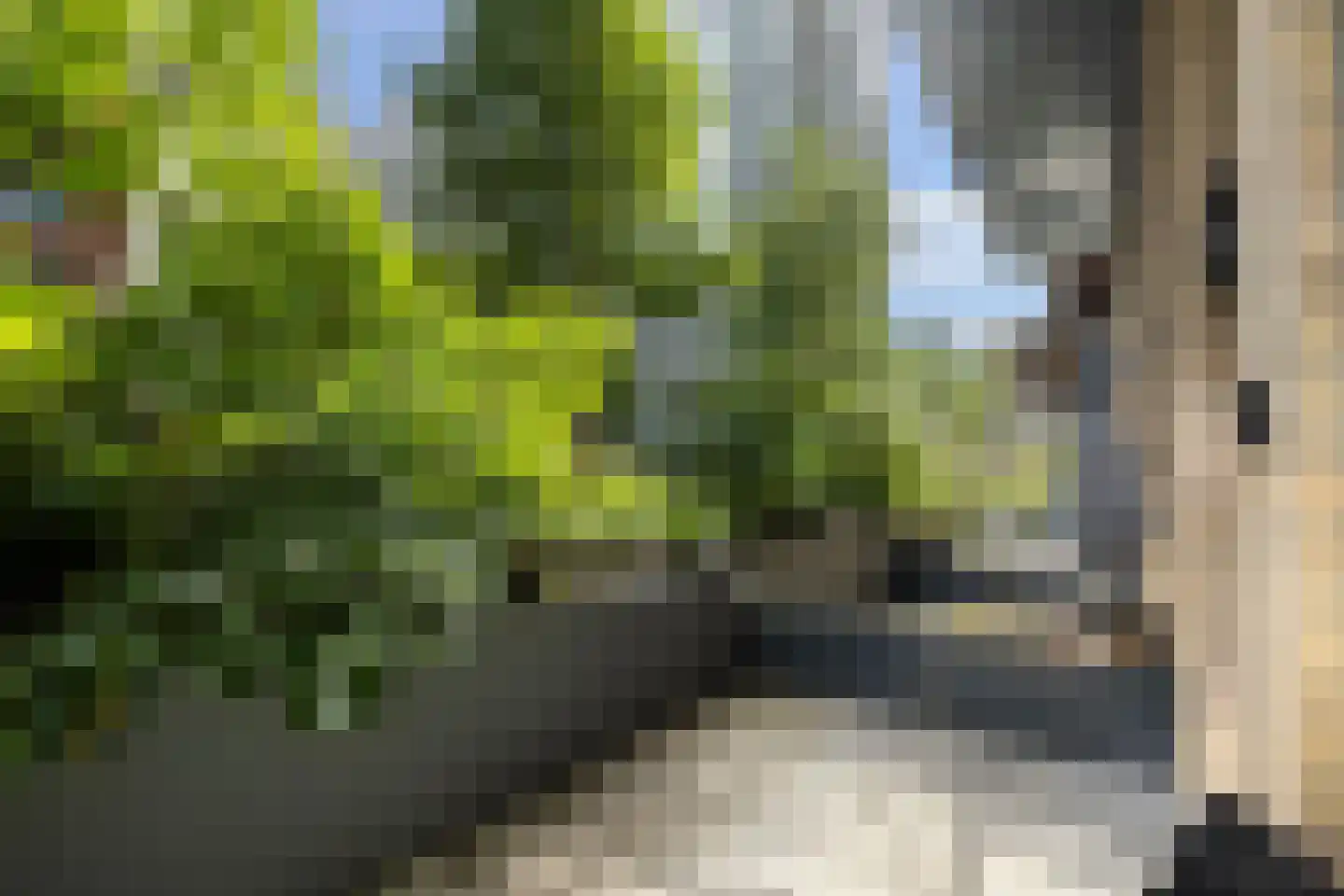 VOC-kade 116 Amsterdam thumbnail 7