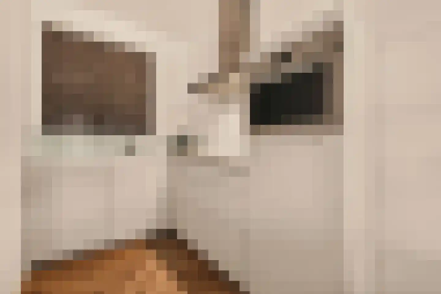 VOC-kade 124 Amsterdam thumbnail 9
