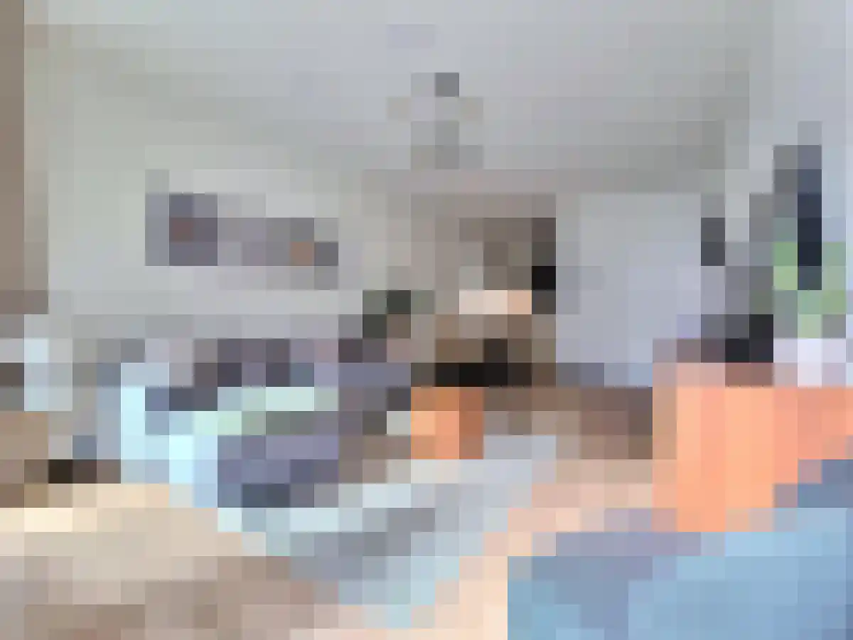 VOC-kade 126 Amsterdam thumbnail 6