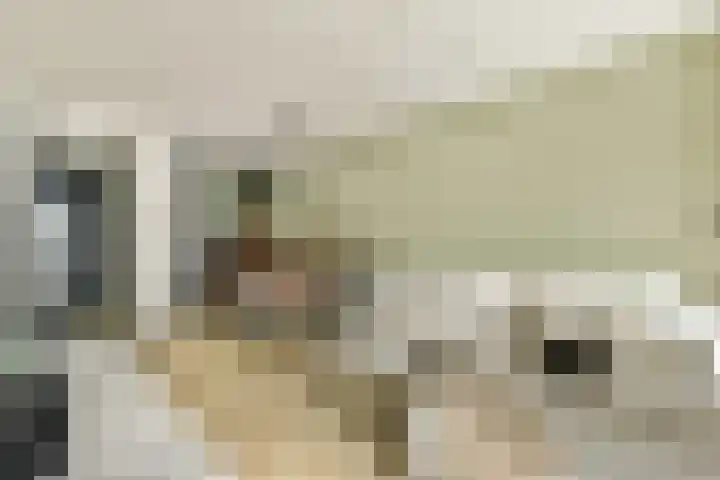 VOC-kade 128 Amsterdam thumbnail 10