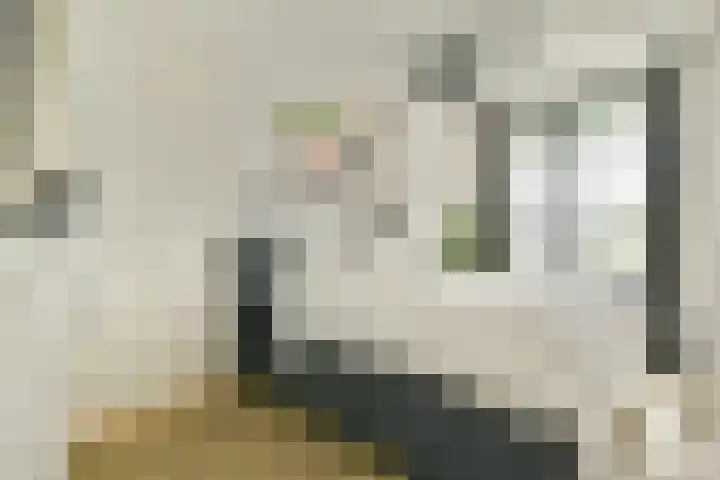 VOC-kade 128 Amsterdam thumbnail 14