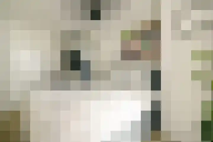 VOC-kade 128 Amsterdam thumbnail 15