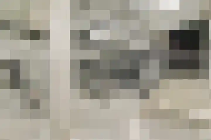VOC-kade 128 Amsterdam thumbnail 19