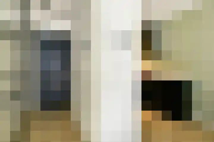 VOC-kade 128 Amsterdam thumbnail 7