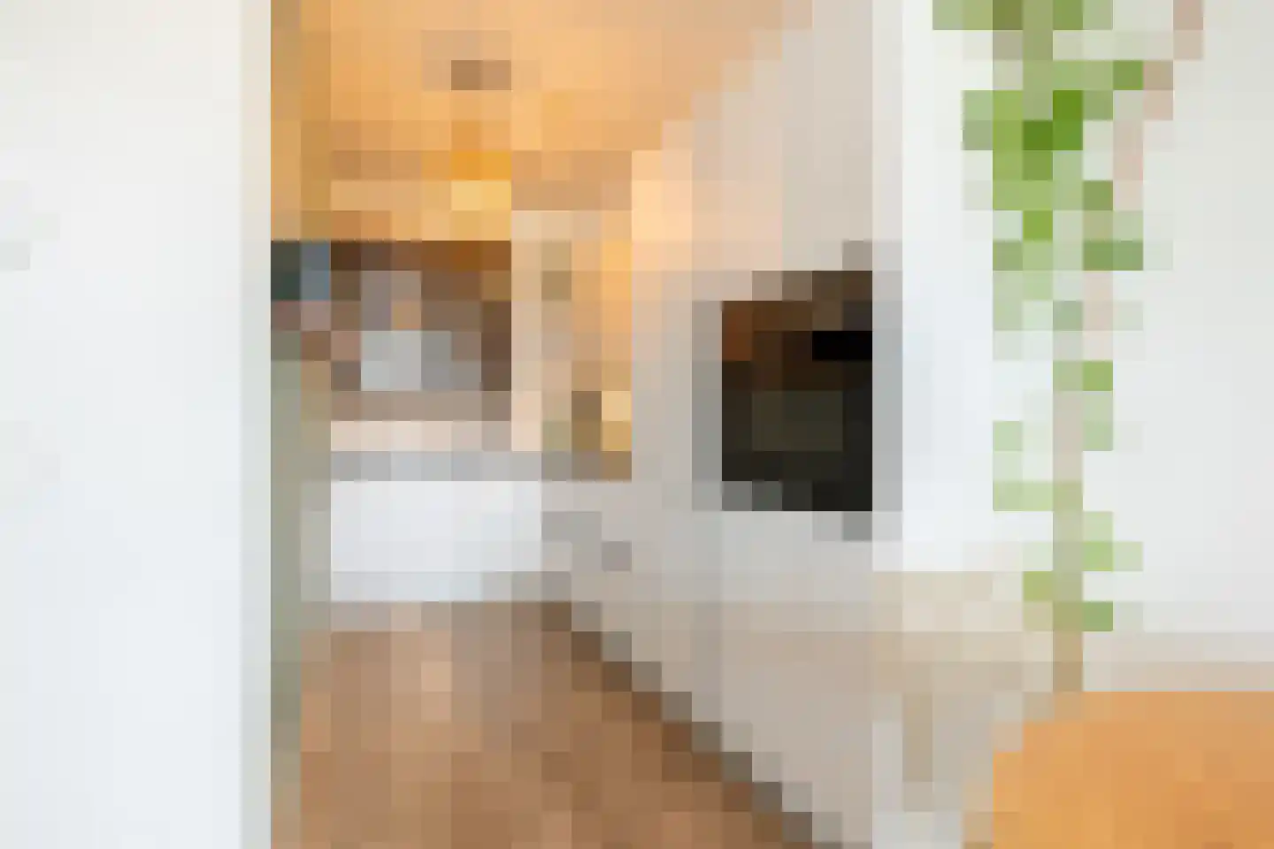VOC-kade 132 Amsterdam thumbnail 17