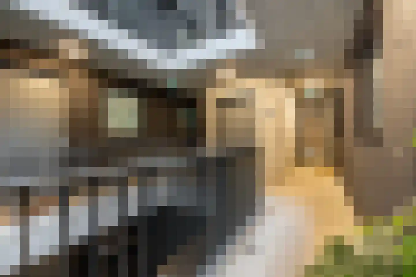 VOC-kade 132 Amsterdam thumbnail 35