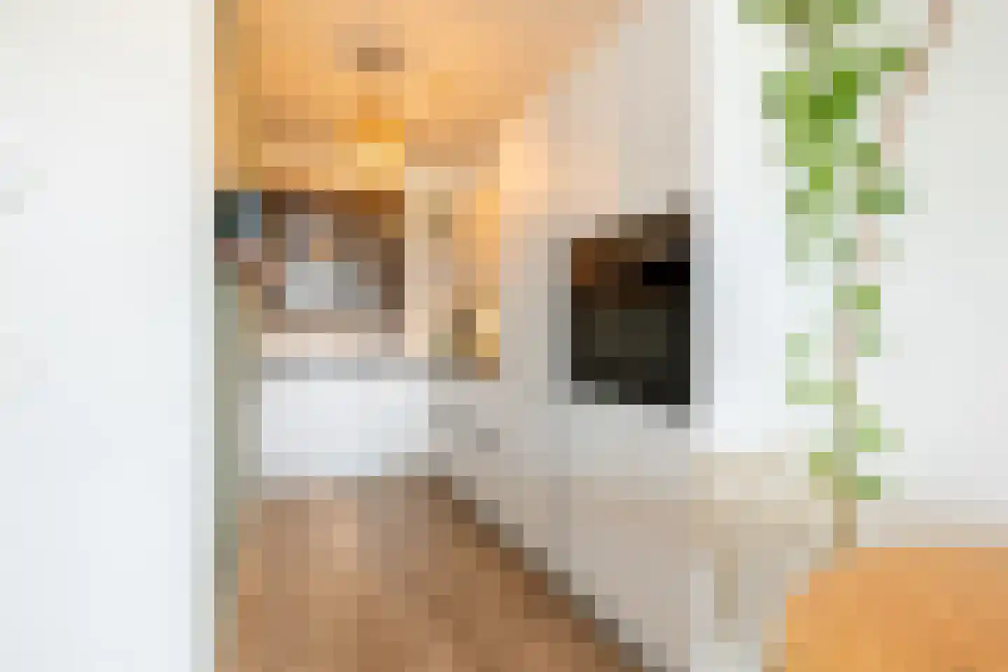 VOC-kade 132 Amsterdam thumbnail 4