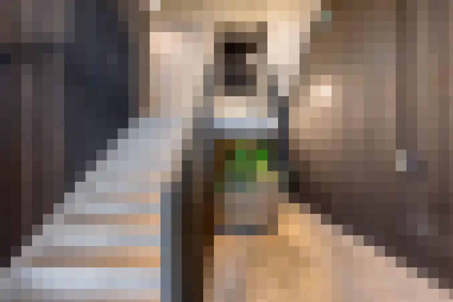 VOC-kade 134 Amsterdam thumbnail 11