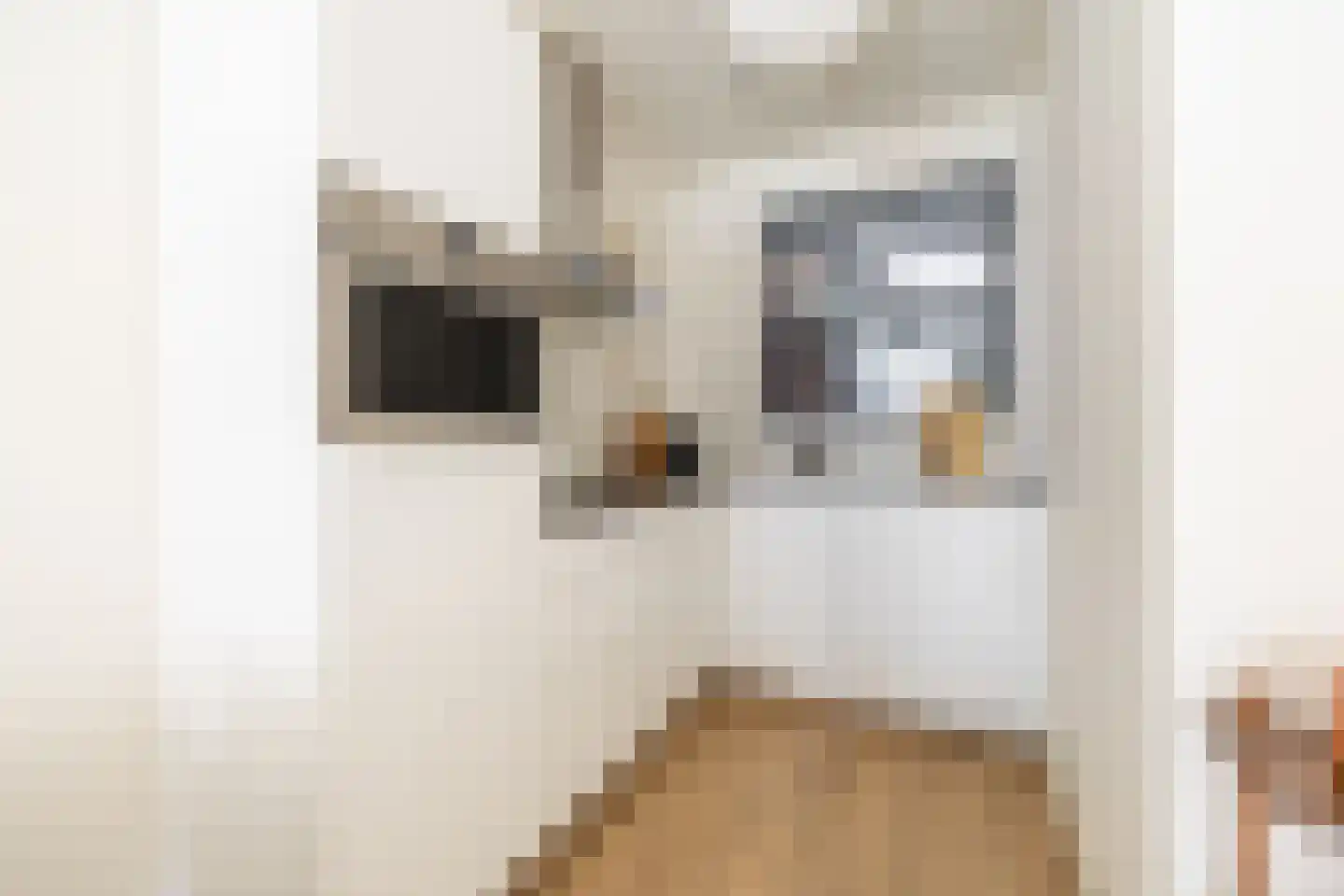 VOC-kade 134 Amsterdam thumbnail 21