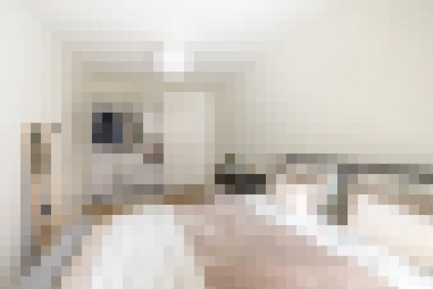 VOC-kade 134 Amsterdam thumbnail 25