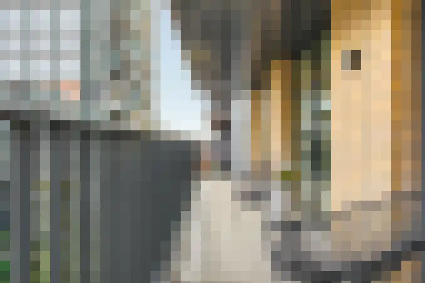 VOC-kade 144 Amsterdam thumbnail 8