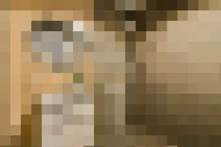 VOC-kade 66 Amsterdam thumbnail 13