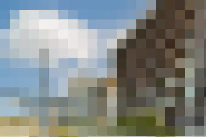 VOC-kade 66 Amsterdam thumbnail 17