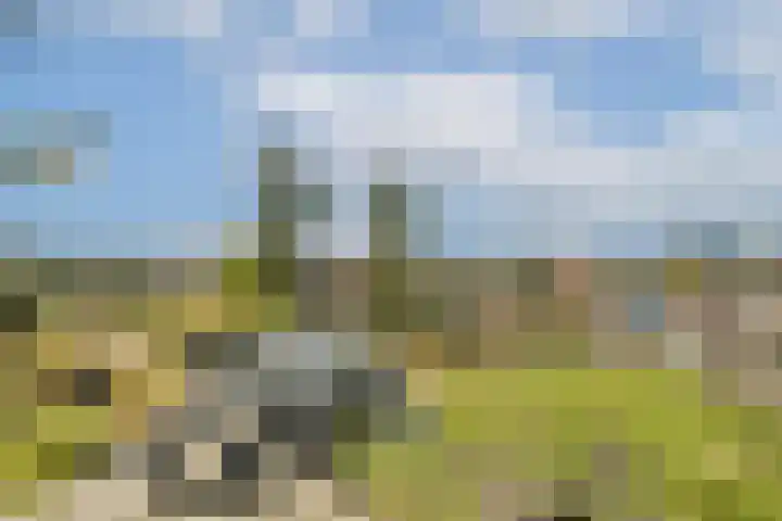 VOC-kade 66 Amsterdam thumbnail 19