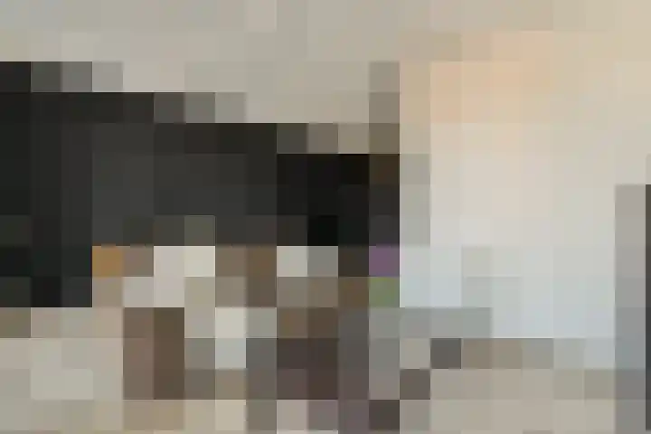 VOC-kade 66 Amsterdam thumbnail 4