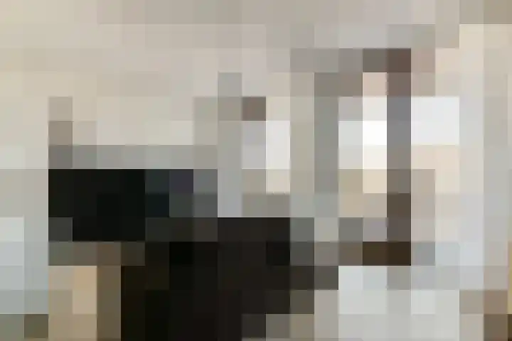 VOC-kade 66 Amsterdam thumbnail 6