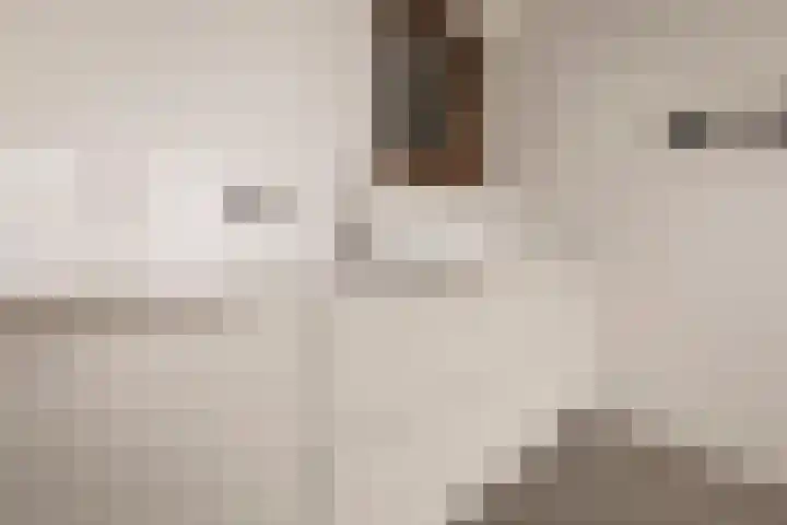 VOC-kade 68 Amsterdam thumbnail 10