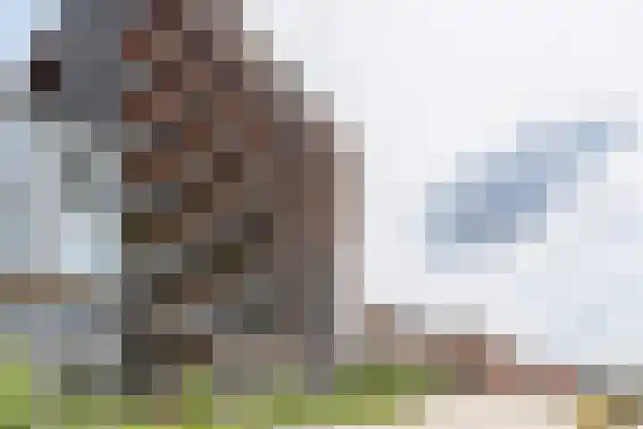 VOC-kade 68 Amsterdam thumbnail 36