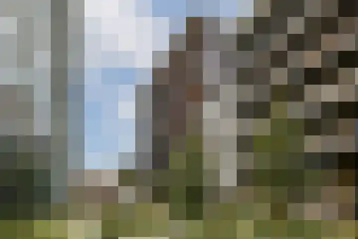 VOC-kade 92 Amsterdam foto 3