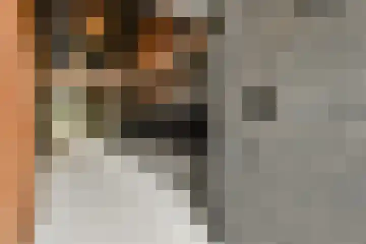 VOC-kade 92 Amsterdam thumbnail 4