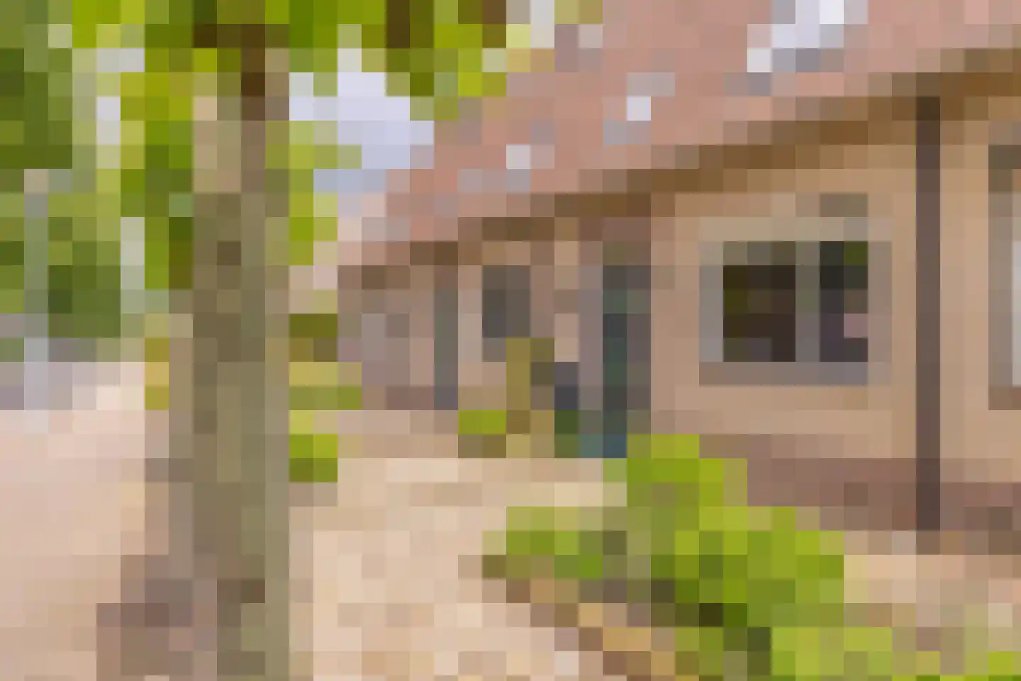 Vockemaet 46 Westervoort thumbnail 10